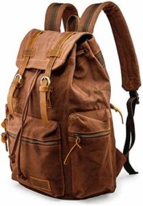 2 GEARONIC TM Men 21L Canvas Backpack