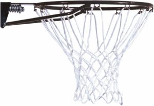 #1 Lifetime Basketball Rim