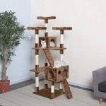 Top 10 Best Cat Climbing Walls in 2023 Reviews