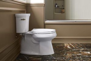 #10 KOHLER K-4636-0 Cachet Elongated White Toilet Seat