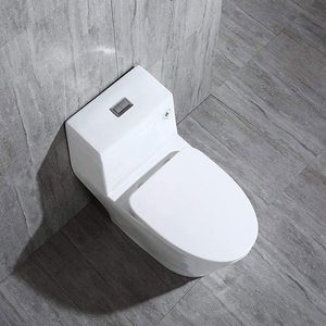 #2 WOODBRIDGE T-0019, Dual Flush Elongated One Piece Toilet 