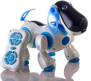 9. Durherm Smart Storytelling Robot Dog
