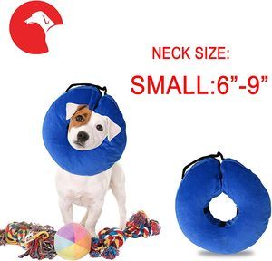 10. Laboratory Inflatable Dog Collar