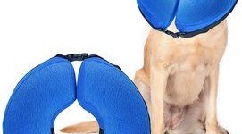 8. UMARDOO Inflatable Recovery Cone Collar