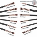 Top 10 Best Morphe Brushes in 2023 Reviews