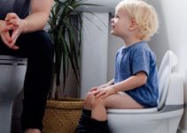 Top 10 Best Toddler Toilet Seats in 2023 Reviews