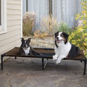 4. K&H Pet Products Original Pet Cot