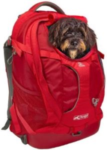 #10. Kurgo Dog Carrier Backpack