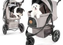 Top 10 Best Cat Strollers in 2023 Reviews