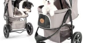 Top 10 Best Cat Strollers in 2023 Reviews