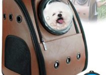 Top 10 Best Pet Carrier Backpacks in 2023 Reviews