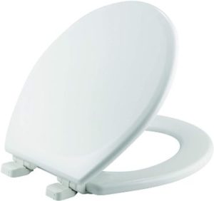 10. MAYFAIR 843SLOW 000 Lannon Toilet Seat