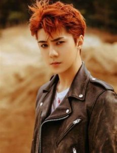 5. Sehun (EXO)