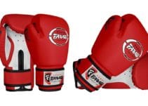Top 10 Best Kids Boxing Gloves of (2023) Review
