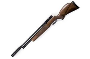 8. Gamo Coyote Whisper Fusion PCP 22 Cab Air Rifle